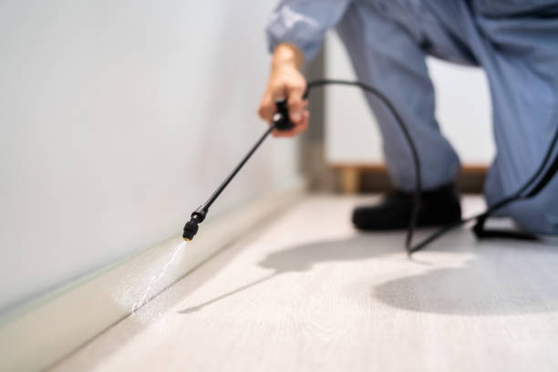 Rodent Entry Point Assessment in Marietta