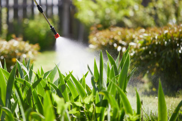 Tamper-Resistant Bait Stations for Rodents in Marietta