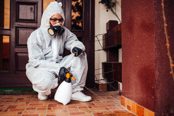Attic and Crawl Space Rodent Treatment in Marietta
