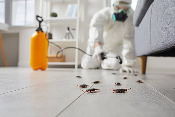 Commercial Rodent Management in Marietta